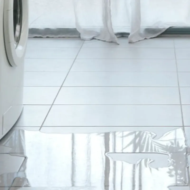 Appliance Leak Cleanup in Oakwood, GA