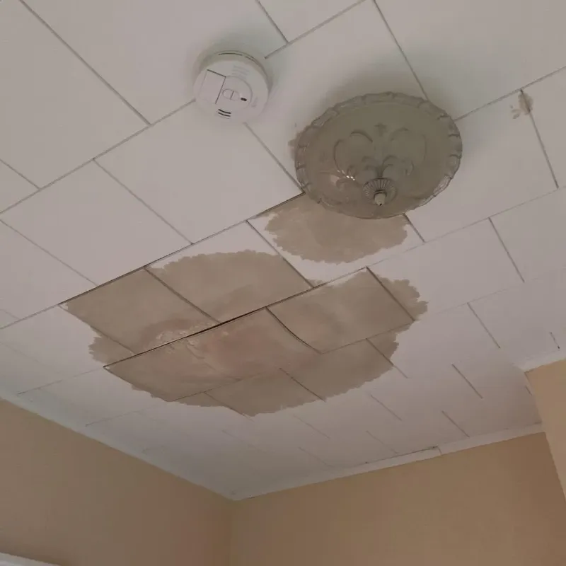 Ceiling Water Damage Repair in Oakwood, GA