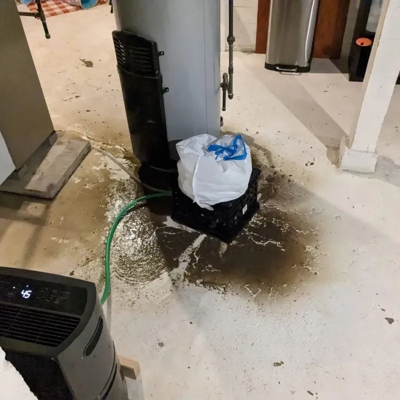 Sewage Backup Cleanup Service in Oakwood, GA